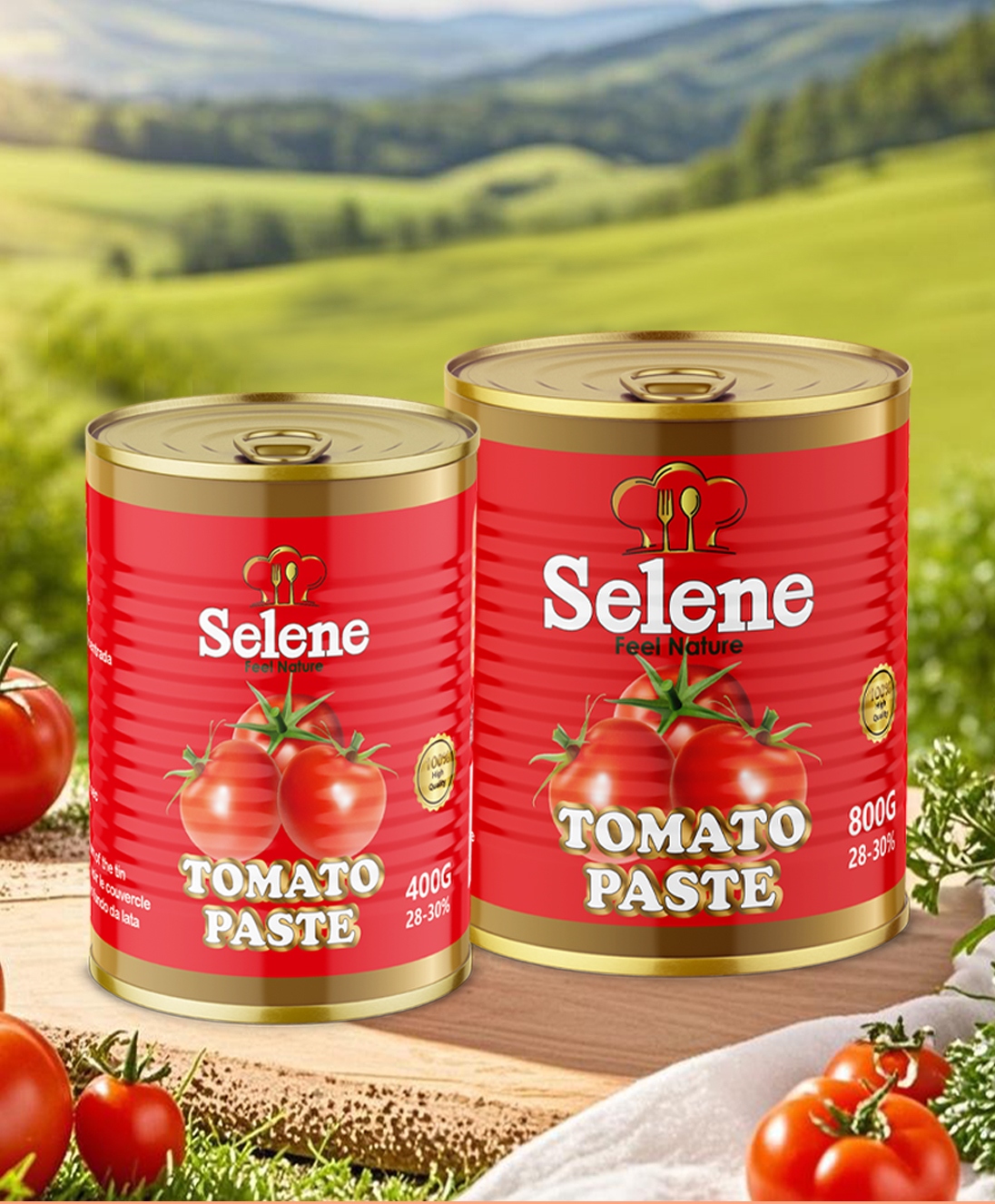 Pâte De Tomate En Conserve