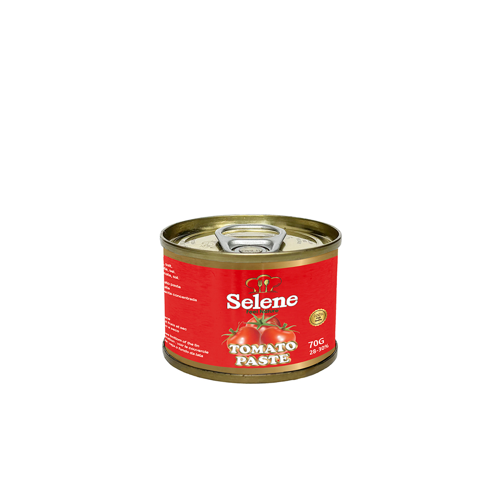 Pâte de tomate en conserve 70g